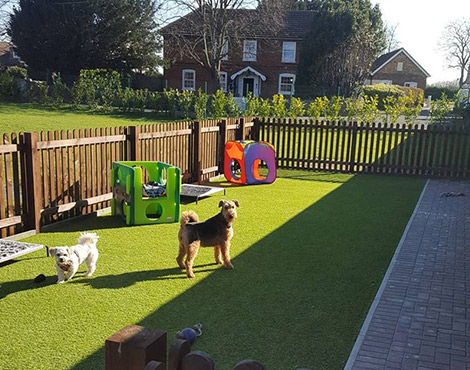 Safety is Our Top Priority