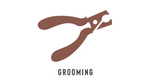 Dog Grooming